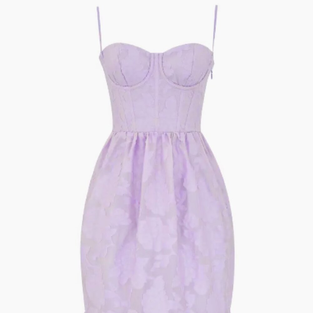 House of CB Mira Corset Midi Dress L+ - Picture 5 of 6